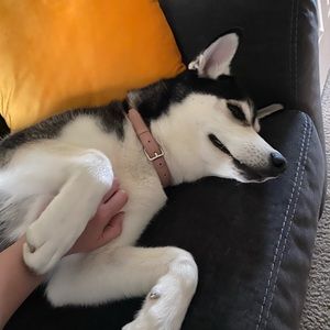 Meet your Posher, Catherine